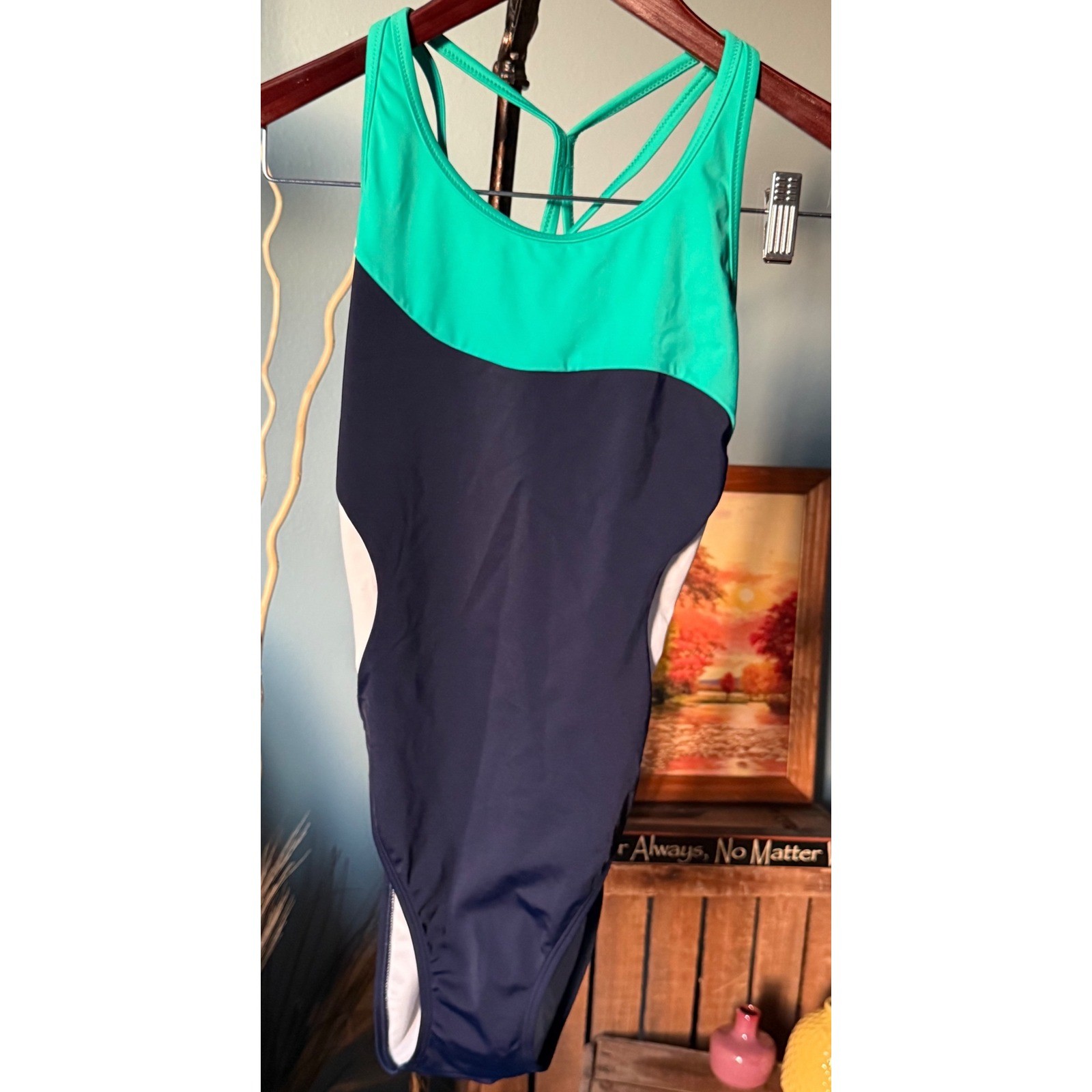 Athleta Freestyle Colorblock One Piece Swimsuit Swim Water Sports Resort L/36